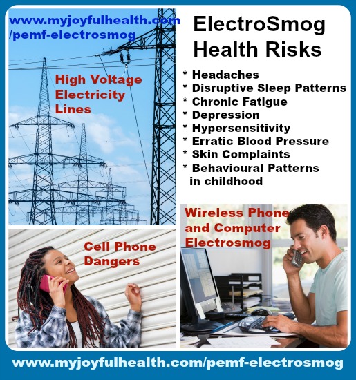 PEMF ElectroSmog Health Natural Remedy