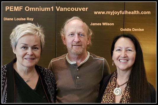 PEMF Omnium1 Vancouver Diane Louise Roy Nov 2016